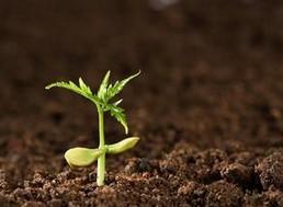 土壤監(jiān)測，土壤污染程度，深圳檢測機構(gòu)