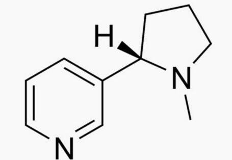 化學(xué)成分分析