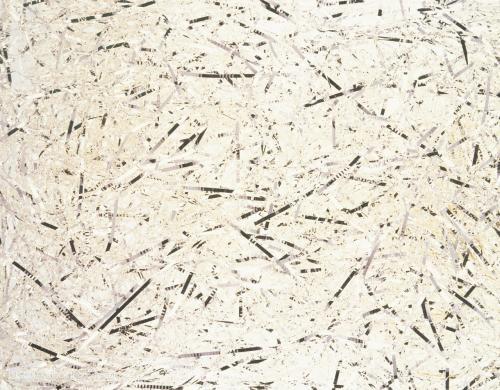 紙制品原料檢測(cè)