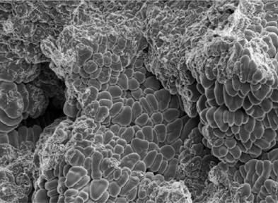 金屬材料檢測(cè)時(shí)，如何進(jìn)行斷口分析？