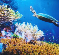 海洋生態(tài)檢測(cè)服務(wù)、環(huán)保檢測(cè)、各項(xiàng)微生物有害物質(zhì)指標(biāo)檢測(cè)