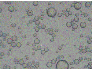 粒度檢測標準哪里的檢測機構可以做？