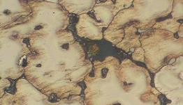 什么是晶粒度測(cè)試